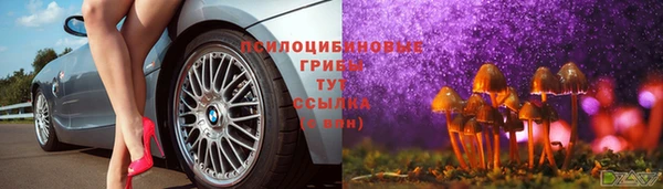 индика Кодинск