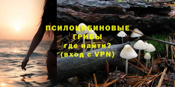 индика Кодинск