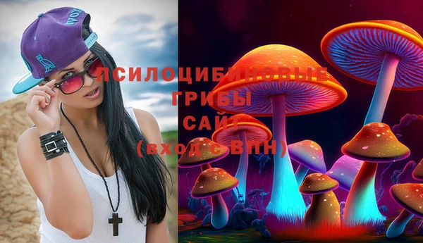 индика Кодинск