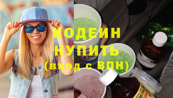индика Кодинск