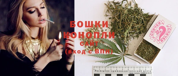 индика Кодинск